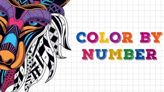 Color By Number