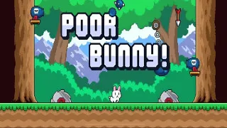 Poor Bunny
